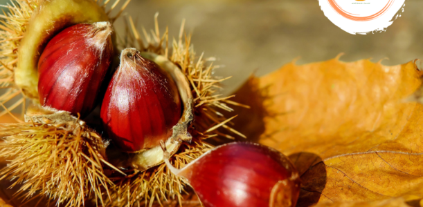 CASTAGNE DEL PRETE